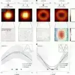 Xlamidiya insan hüceyrələrinin içərisində yaşamaq üçün qoruyucu qabarcıqları necə əmələ gətirir