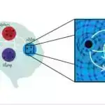 Süni intellektlə işləyən metod yeni nəsil şəbəkələrin etibarlılığını artırır