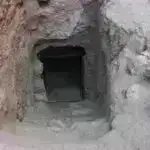 Ferret beyin tədqiqatı inkişaf zamanı etibarlı vizual təsvirlərin necə ortaya çıxdığını araşdırır