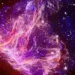 Araşdırma göstərir ki, şizofreniya beynin quruluşunda əks olunur