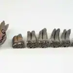 Dərin dəniz teleskopunda ilk ultra yüksək enerjili neytrino aşkar edilib