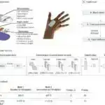 Qrenlandiyalıların genetik tədqiqatı onların mədəniyyətinə xas variantları aşkar edir