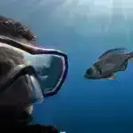 “Şəhər qatili” asteroidinin Yerlə toqquşma ehtimalı 3,1% -dir: NASA