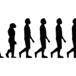 Dünya kənd əhalisinin “əhəmiyyətli hissəsi” qlobal hesablamalarda yoxdur, araşdırma deyir