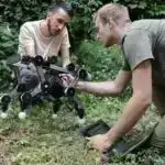Yeni araşdırma, yetkinlərdə saçların böyüməsini dəstəkləyən qoruyucu proteini ortaya qoyur
