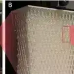 TESS ilə iki yeni qəhvəyi cırtdan kəşf edildi