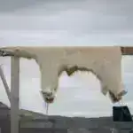 Təsadüfi kəşf stress və kimyanın sirli spiral nümunələri necə aşındırdığını ortaya qoyur