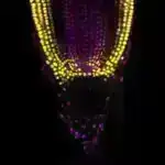 Pollinatorlar üçün uzun gözlənti: Bərpa edilmiş çəmənliklər biomüxtəlifliyin tam bərpası üçün 75+ il tələb edir, araşdırma tapır