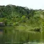 Elm adamları yaşa bağlı beyin azalmasının qarşısını almaq üçün kritik “orta yaş pəncərəsi”ni müəyyən edirlər