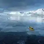 Genlər musiqidən həzz almağımıza təsir edə bilər