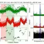 Tədqiqat göstərir ki, ürək xəstəliyi olan qorillalar bağırsaq mikrobiomlarını dəyişib
