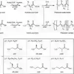 Superkritik suyun strukturunun şifrəsi açıldı: Təhlil heç bir molekulyar klaster tapmır, sadəcə müvəqqəti bağlar
