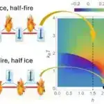 60 gen anadangəlmə ürək xəstəliyində, o cümlədən autizm kimi əlaqəli xəstəliklərə də kömək edən genlər