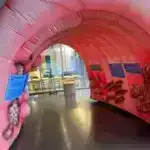 Mikro metal daşıyıcıları: Biokimyaçılar daha yaxşı xərçəng müalicələrinə bir addım daha yaxındırlar