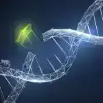 Akustika sayəsində kvant atomlarının birlikdə danışmasını dinləmək