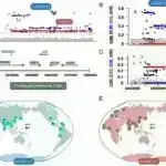 Riyaziyyatçılar iynəni onilliklər boyu mövcud olan həndəsi problem olan Kakeya zənnində hərəkət etdirirlər