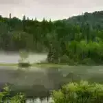 İki illik qızıl hasilatı Peru torf torpaqlarını viran qoyur və son 30 ildəki ziyanı üstələyir