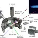 Görmə itkisini bərpa etmək potensialına malik insan tor qişasının kökə bənzər hüceyrələri aşkar edilib
