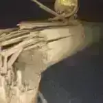 Ən yaxın ulduzlarımızdan birinin ətrafında dörd kiçik planet fırlanır