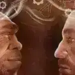 Daha az səyahət edilən yollar Amazonda və ondan kənarda meşələrin qırılmasını artırır