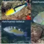 Alimlər məkan-zaman mübadilələrindən istifadə edərək kvant ölçmələrini sürətləndirmək üçün metod hazırlayırlar