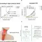 Nə qədər böyük beyinlər və çevik kəllələr müasir quşların təkamülünə səbəb oldu