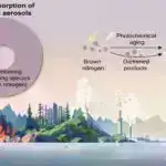 Xütbələrdən tutmuş səssiz geri çəkilməyə qədər, araşdırma göstərir ki, bir çox insanlar ruhani təcrübədən sıxılırlar