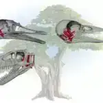 AI halqası Amerika işarə dilində yazılmış sözləri izləyir