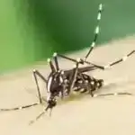 Kvant hesablama klassik maye dinamikası problemlərini həll edir