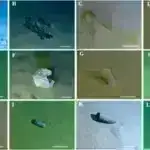 Sıx qazlar və mayelər haqqında yeni nəzəriyyə karbonun tutulmasına kömək edə bilər