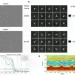 Yerli xəbərlərin süni intellektlə öyrənilməsi son on ildə medianın polisə qarşı tənqidinin artmadığını və ya daha çox partizan olmamasını tapır.