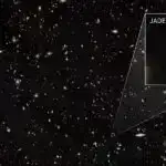 Qrenlandiya köpəkbalığının həddindən artıq uzunömürlülüyünün sirrini araşdırmaq