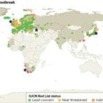 Qarşıdan gələn qlobal təhlükə: H5N1 virusu vəhşi təbiəti məhv edir, ekosistemləri pozur və insan sağlamlığına təhlükə yaradır