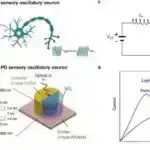 JWST günəş sistemindən kənarda karbon qazının ilk birbaşa şəkillərini çəkir
