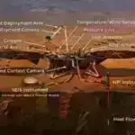 Yeni texnika daha yaxşı mikroskopik görüntü əldə etmək üçün bitki hüceyrələrini genişləndirir