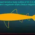 Tədqiqat göstərir ki, yumordan düzgün istifadə elmi ünsiyyəti daha effektiv edə bilər