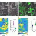 Şəxsi Ay enişçisi Blue Ghost 2 həftəlik missiyadan sonra Ayda səssiz qalır