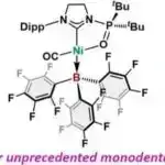 Xərçəng tədqiqatçıları zədədən sonra bağırsaq hüceyrələrinin bərpasına imkan verən “keçid”i müəyyən edirlər