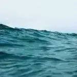 UV radiasiyasının hüceyrə xilasetmə missiyasını necə tetiklediği