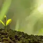 Ətraf mühit alimləri boyanın mikroplastik çirklənmədə rolunu vurğulayırlar