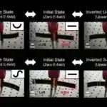 Zika virusu immun müdafiəmizi necə məhv edir