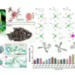 Beyin kanalları “vaxtında dayanıb” öyrənməyə və düşünməyə imkan verən kimyəvi axını aşkar edir