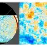 Hiyləgər qartallar təəccüblü yem seçimi ilə kameralara tuş gəlib