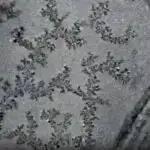 Rentgen müşahidələri PLCKG287 qalaktika klasterinin dinamik xüsusiyyətlərini aşkar edir