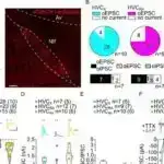 380.000 illik kainatın indiyədək ən aydın görüntüləri kosmik körpəliyi ortaya qoyur