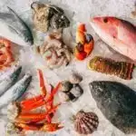 Elm adamları yeni nəsil DNT çatdırılma texnologiyası üçün konsepsiyanın klinikadan əvvəlki sübutunu nümayiş etdirirlər