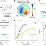 Alimlər Yupiteri onun peyki Io ilə birləşdirən elektronlarda gözlənilməz dəyişiklikləri müəyyən edirlər