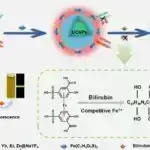 Süni intellekt sərvət bərabərliyinə necə təsir edəcək?