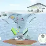 Robototexnika və onurğanın stimullaşdırılması iflic zamanı hərəkəti bərpa edir