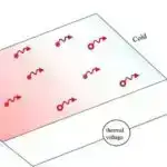 Lyft sürücülərinin araşdırması hüquq-mühafizə orqanları tərəfindən irqi profilləşdirməni ortaya qoyur